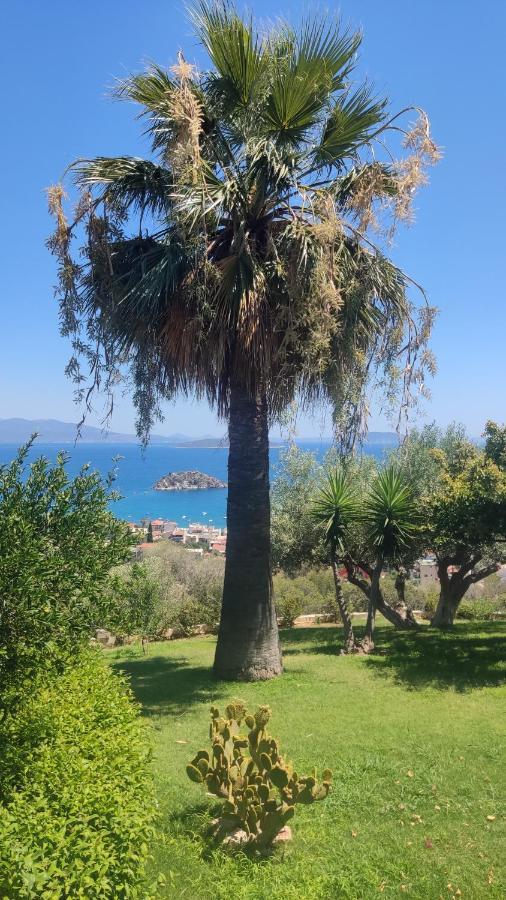 Antika 6 Otel Tolón Dış mekan fotoğraf