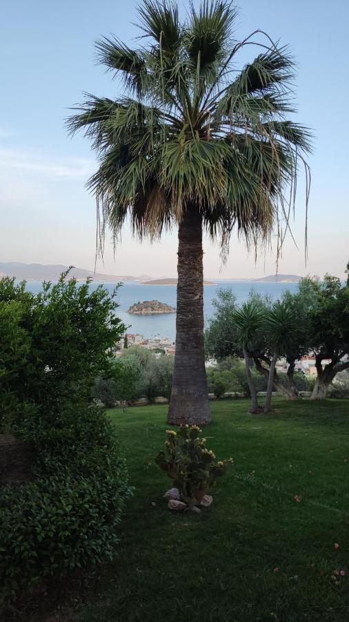 Antika 6 Otel Tolón Dış mekan fotoğraf